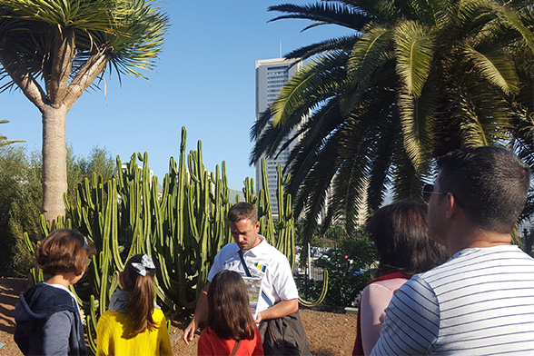 Las Fundaciones Cepsa y Santa Cruz Sostenible ofrecen un programa familiar de visitas guiadas gratuitas al Palmetum